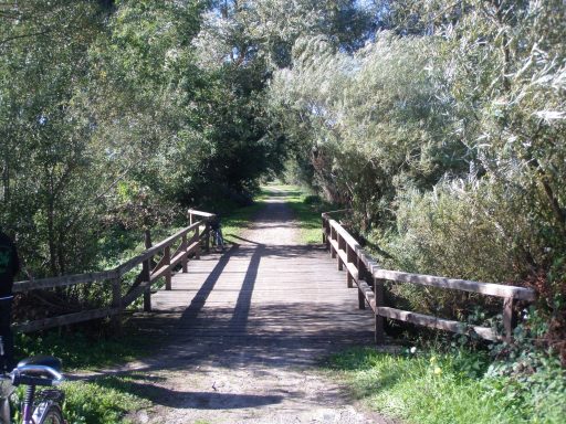 Holzbrücke