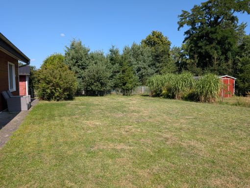 große Wiese mit Schuppen